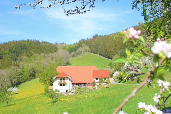 Hofansicht im Frühling
